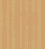 Design 10036 White Beech