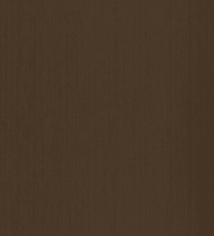 Design 10078 Sandy Fossil Recon