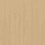 Mangfall Beech